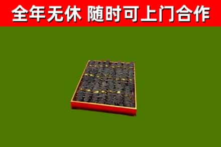 丛台区回收海参